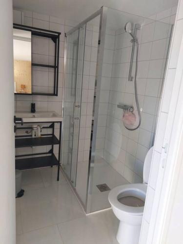 une salle de bain avec douche et toilettes dans l'établissement Studio Chez Suzanne, à Saint-Jorioz
