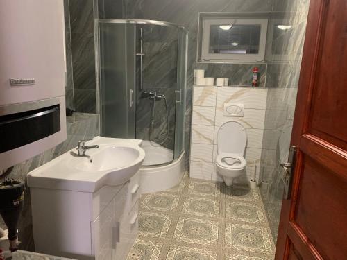 a bathroom with a sink and a toilet and a shower at Tuson Apartment in Brozany