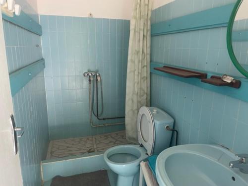 a blue bathroom with a toilet and a shower at Residence Chez Marraine Maison BERTILI in Le Gosier