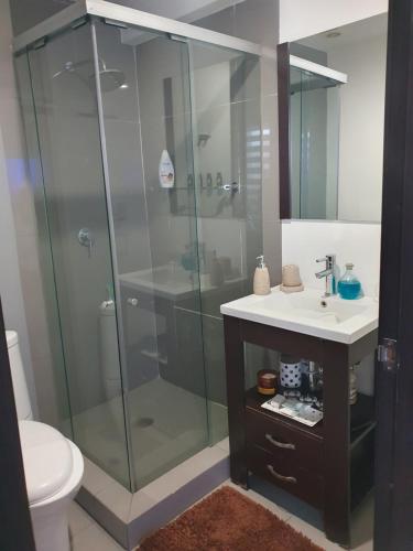 uma casa de banho com uma cabina de duche em vidro e um lavatório. em Suite Boutique Ejecutivo Mexico em Cidade do México