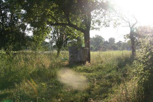 a statue sitting in the grass in a field at Schlossmühle Schieritz in der Nähe von Meißen in Schieritz