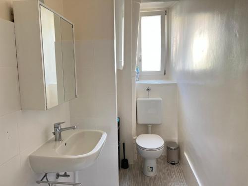 een badkamer met een wastafel, een toilet en een spiegel bij Le Locle : bel appartement chaleureux in Le Locle