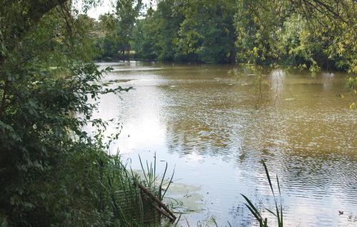 a view of a river with trees and bushes at Holiday Home Stromstrasse L in Manschnow