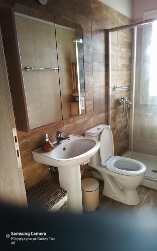 een badkamer met een wastafel, een toilet en een spiegel bij Villa Raphael in Lixouri