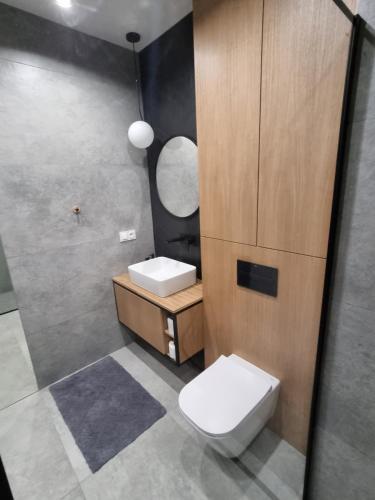 W łazience znajduje się toaleta, umywalka i lustro. w obiekcie Premium Apartments Rzeszów Silver w mieście Rzeszów