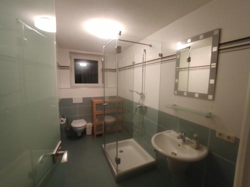 a bathroom with a sink and a shower and a toilet at Haus Biengarten in Neustadt an der Weinstraße