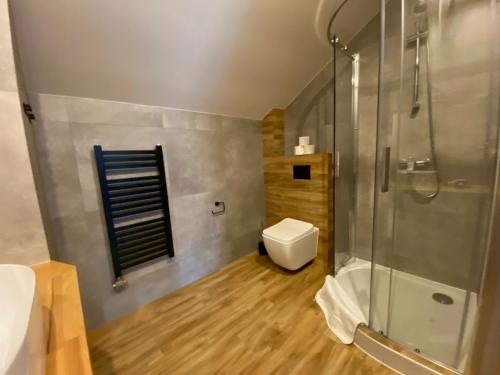 La salle de bains est pourvue d'une douche et de toilettes. dans l'établissement Willa Widokowa, à Wisła