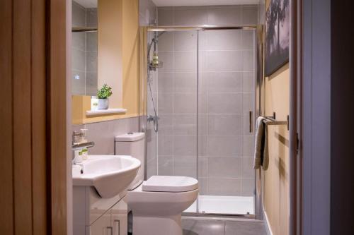 W łazience znajduje się toaleta, umywalka i prysznic. w obiekcie The Nest w mieście Brockenhurst