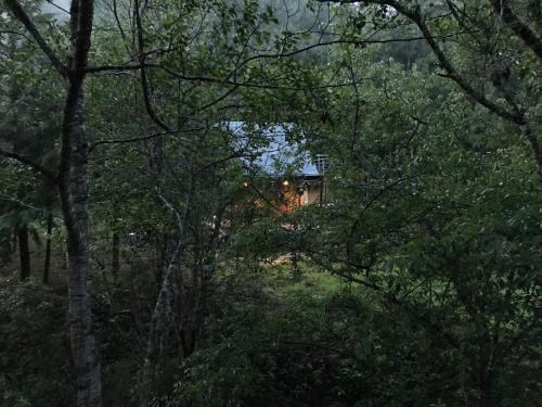 ein Haus, das durch die Bäume im Wald gesehen wird in der Unterkunft Tiny House in San Mateo Río Hondo