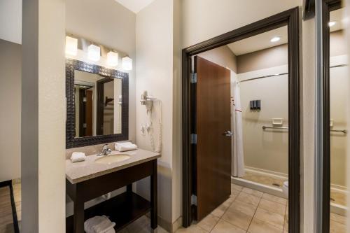 a bathroom with a sink and a mirror and a shower at Red Roof Inn Pecos in Pecos