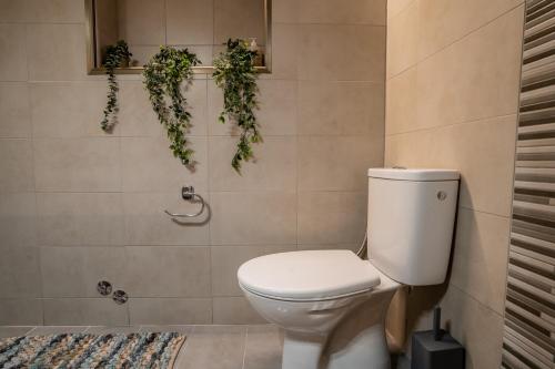 a bathroom with a toilet and plants on the wall at Sea & Mountain Serenity in Plátsa