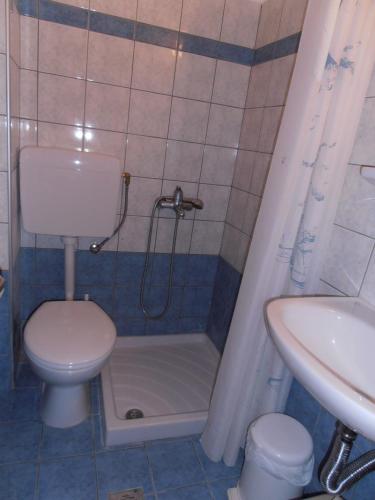 a bathroom with a toilet and a shower and a sink at Pyrassos in Nea Anchialos