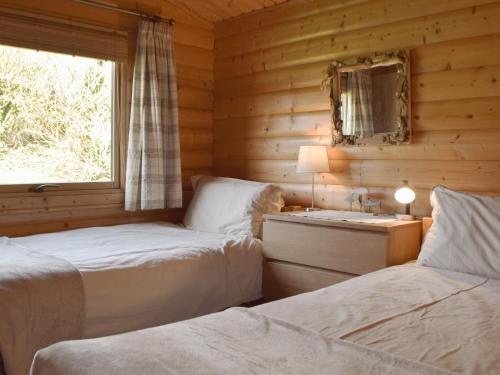 two beds in a log cabin bedroom with a mirror at Cwm Gain in Llanrian
