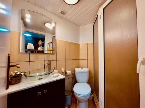 ein Bad mit einem WC und einem Waschbecken in der Unterkunft Madeira Inn The Typical House in Calheta