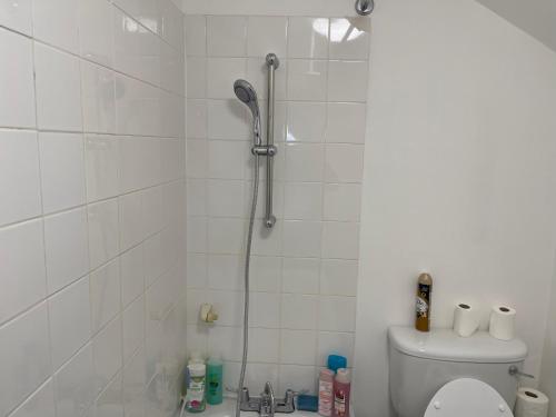 a white bathroom with a shower with a toilet at Charming 6-Bed Apartment in Wembley Area in London