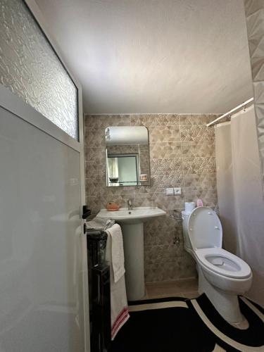 a bathroom with a toilet and a sink at ATGAL Ferme D'hote in Azrou