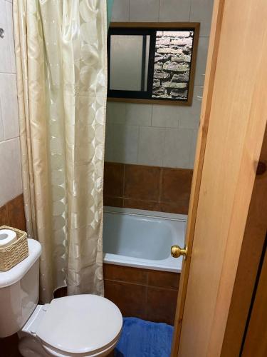 a bathroom with a toilet and a bath tub at Hostal el Nogal Pucón in Pucón