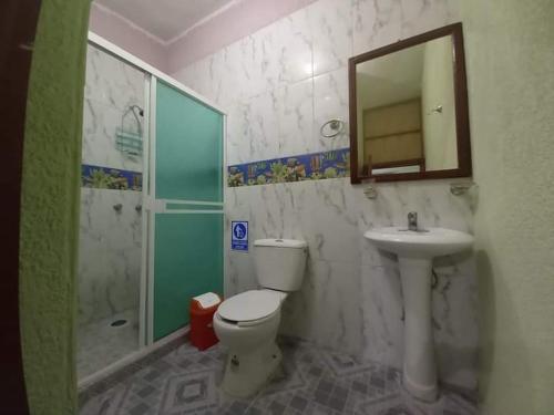 a bathroom with a toilet and a sink and a mirror at LOS TRES HUASTECOS in Ciudad Valles