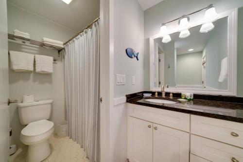 a bathroom with a toilet and a sink and a mirror at Lagoon Villa 19 - Lagoon Lifestyle! Center of Wild Dunes! in Isle of Palms