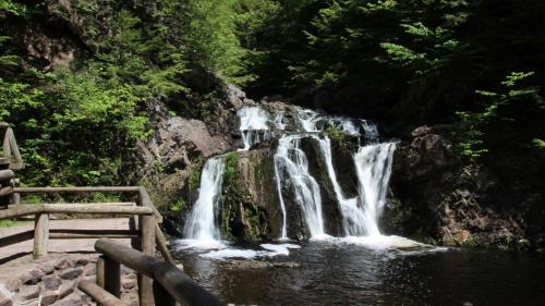 a waterfall in a forest next to a bench at Holiday Inn Express Hotel & Suites Brattleboro by IHG in Brattleboro