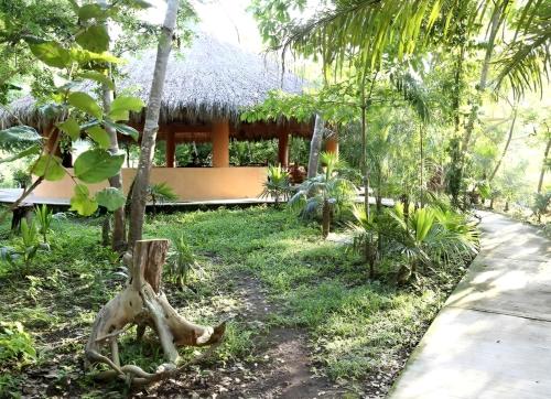 een tuin met een huis op de achtergrond bij Cabañas Camino Mágico in San Miguel del Puerto