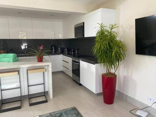 una cocina con un jarrón rojo con una planta en Casa Kaiman - Apartment Vista, en Nosara