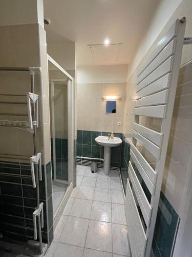 een badkamer met een wastafel en een douche bij Le villequier 8 Rouen centre in Rouen