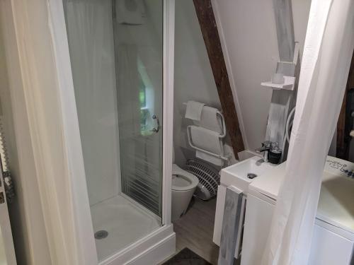 a bathroom with a shower and a toilet at A-frame Studio in Parnell in Auckland
