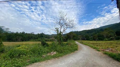 a dirt road in the middle of a field at Mận Homestay - Lục Yên Homestay and Tour in Lục Yên