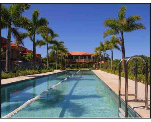 uma piscina com palmeiras num resort em Studio Next do Bond University em Gold Coast