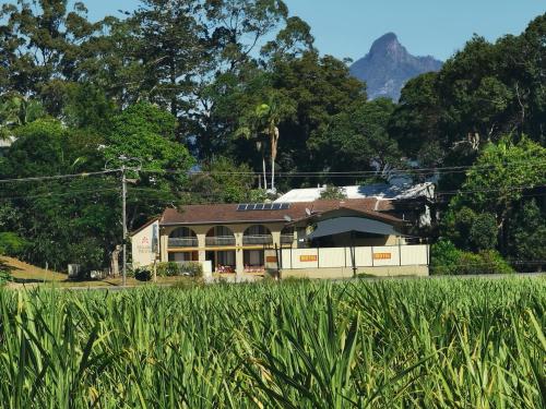 a house in front of a field of grass at Gallery Motel in Murwillumbah