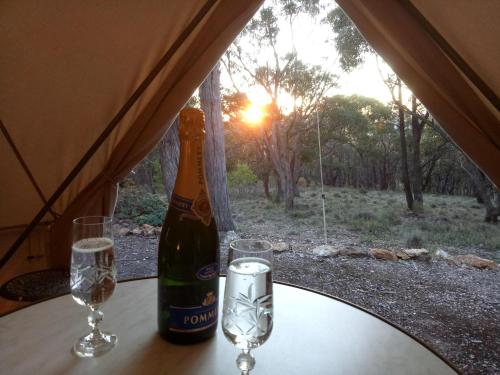 馬其頓的住宿－Macedon Ranges Glamping，帐篷内的桌子上放有一瓶葡萄酒和两杯酒