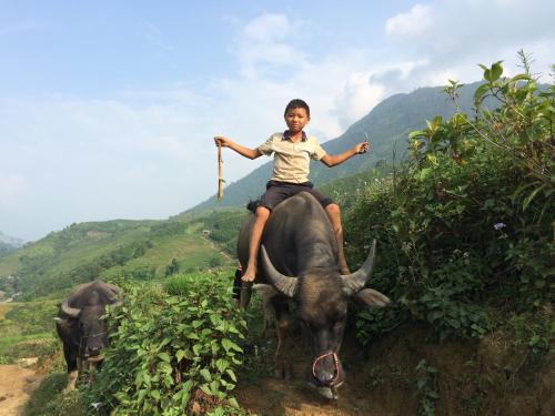 a young girl riding on the back of an elephant at Sapa Hills Hotel in Sa Pa