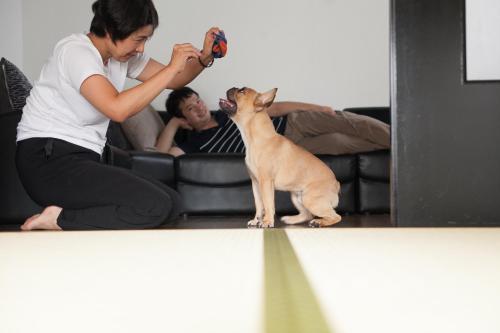 a woman is taking a picture of a dog at Nishichaya TABI-NE in Kanazawa