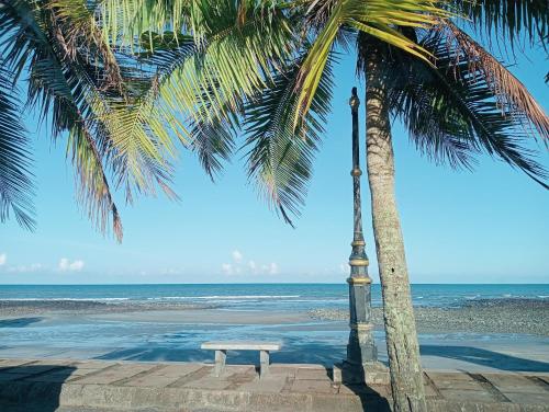 a bench under a palm tree on the beach at The Beach House @ Kuantan in Kuantan