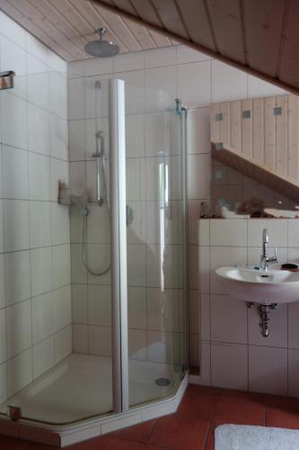 a bathroom with a shower and a sink at Panoramahaus am Schlipfweg in Weil am Rhein