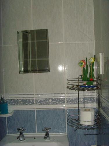 a bathroom with a sink and a mirror at Twin Lions Hotel in Edinburgh