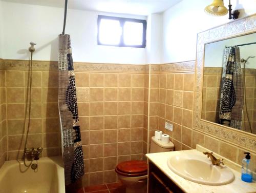 ロンダにあるLa Casita de Piedraのバスルーム(洗面台、トイレ、鏡付)