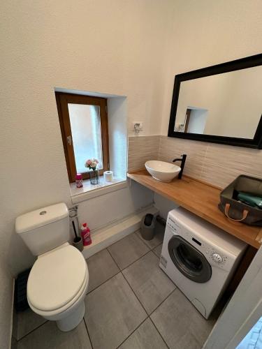 une salle de bain avec toilettes et lavabo et une machine à laver dans l'établissement Joli appartement proche centre ville, thermes, Aquensis, à Bagnères-de-Bigorre