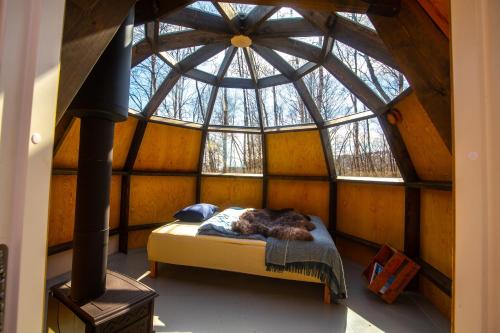 a cat laying on a bed in a room with a round window at Environmental friendly Ecolodge in Haugen