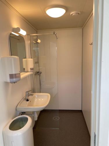 a bathroom with a sink and a toilet and a mirror at Environmental friendly Ecolodge in Haugen