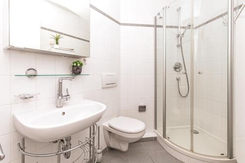 Un baño con lavabo, inodoro y ducha. en Haus am Teich Wohnung 21, en Boltenhagen