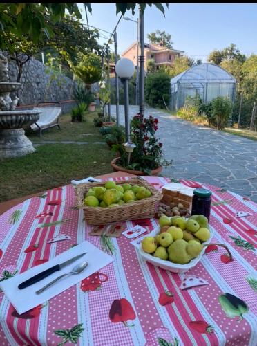 a picnic table with baskets of apples on it at B&B Girasole in Torraca