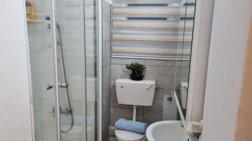 a small bathroom with a toilet and a shower at Elpida Lemon Garden House in Limassol