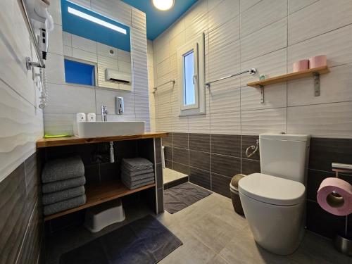 La salle de bains est pourvue de toilettes blanches et d'un lavabo. dans l'établissement La Casa del Arti - Chambres d'hôtes, à Sigean