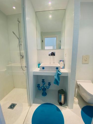 une salle de bain avec un lavabo, des toilettes et un miroir dans l'établissement Appartement de la mer, à Sainte-Maxime