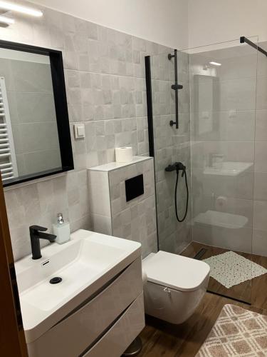 a bathroom with a sink and a toilet and a shower at Guesthouse Rutar in Rupa