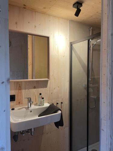 een badkamer met een wastafel en een douche bij Buitenplaats Vinckeboom in Diepenheim