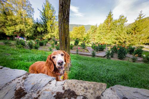  Apartaments Giberga -  Room  picture :   Tea/Coffee maker    Bath    Safety deposit box                           