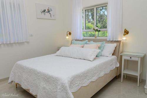 ein weißes Schlafzimmer mit einem Bett und einem Fenster in der Unterkunft סוויטת בוסתן ונחל in Kibbuz Dafna